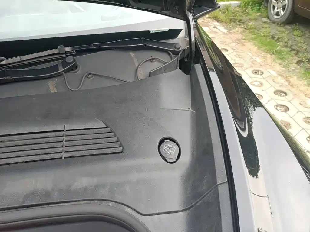 Tesla Model Y — миниатюра 20