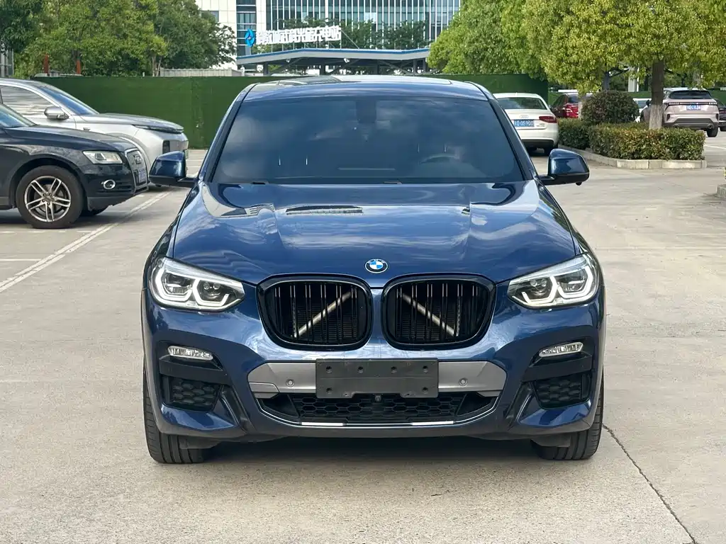 BMW X4 2019 xDrive25i M