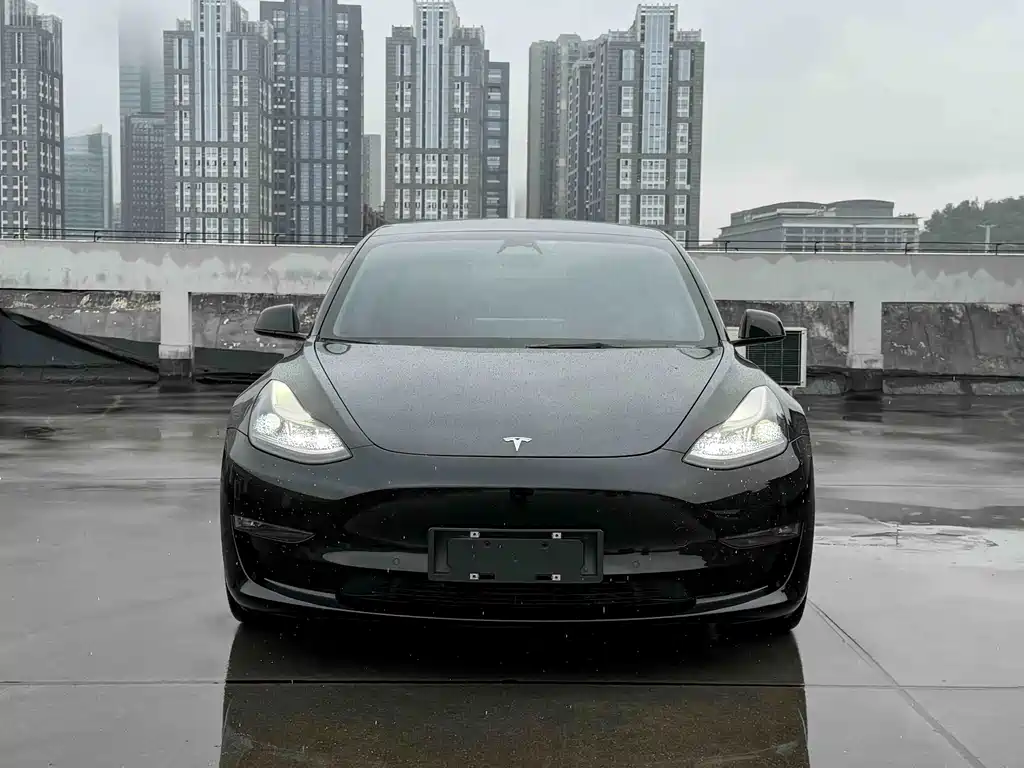 Tesla Model 3 — миниатюра 2