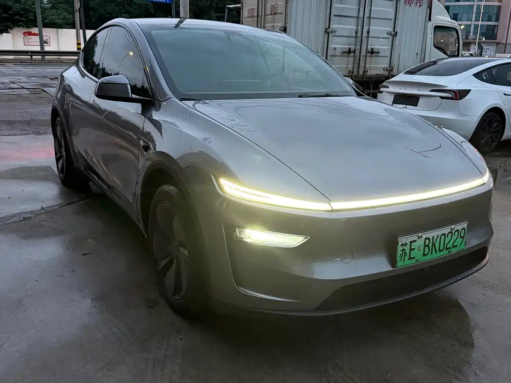 Tesla Model Y — миниатюра 2