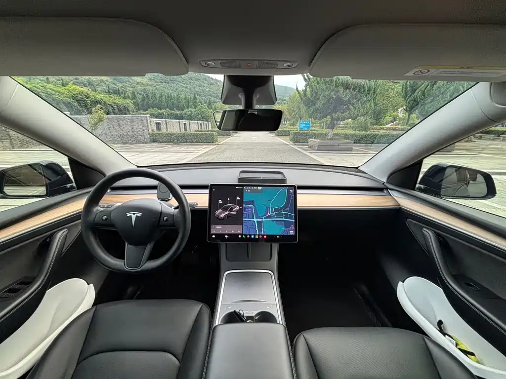 Tesla Model Y — миниатюра 11