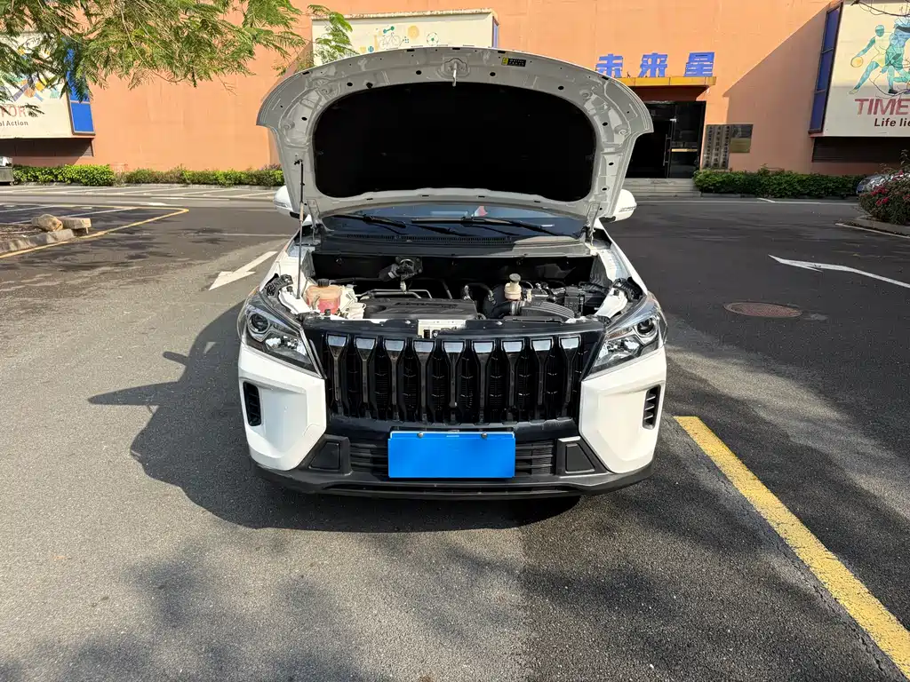 DONGFENG SCENERY S560