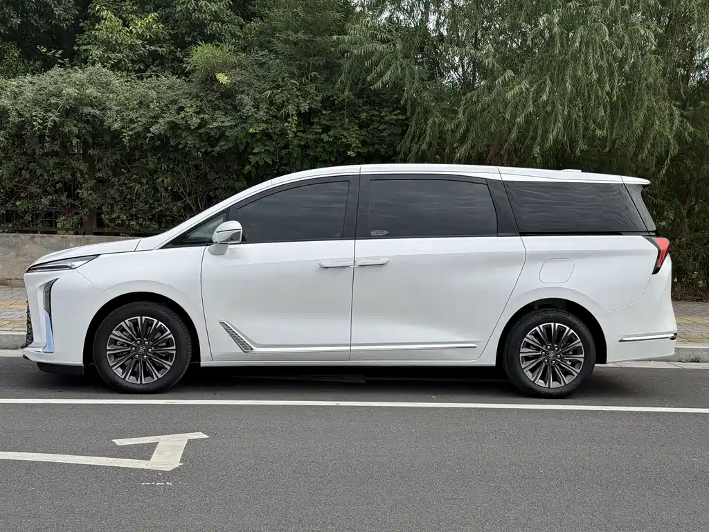 Buick GL8 — миниатюра 13