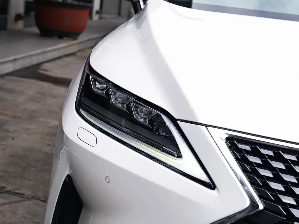 Lexus RX 2020 450hL Elegant 7 мест VI