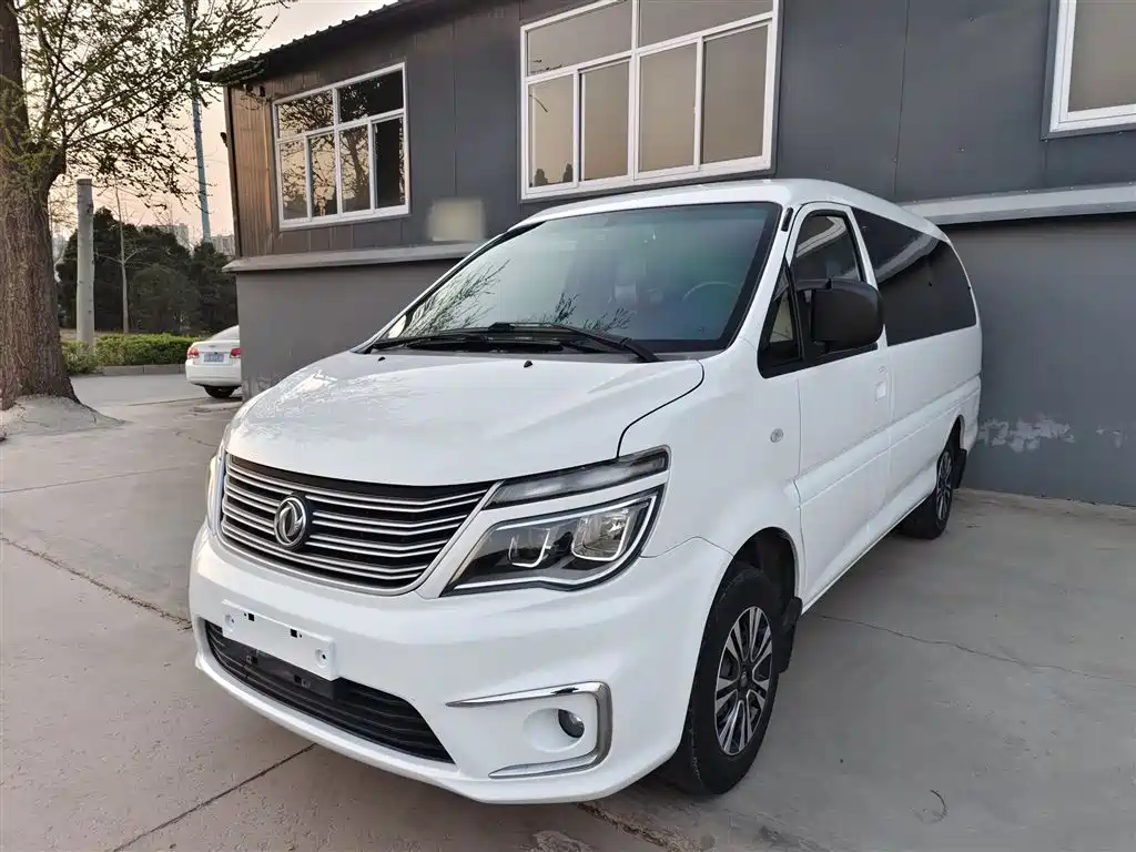 Fengxing Lingzhi 2018