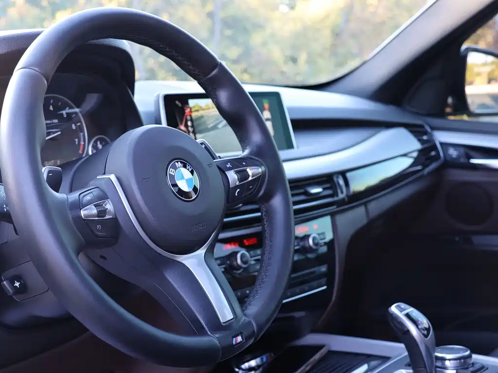 BMW X5 (Import) — миниатюра 3