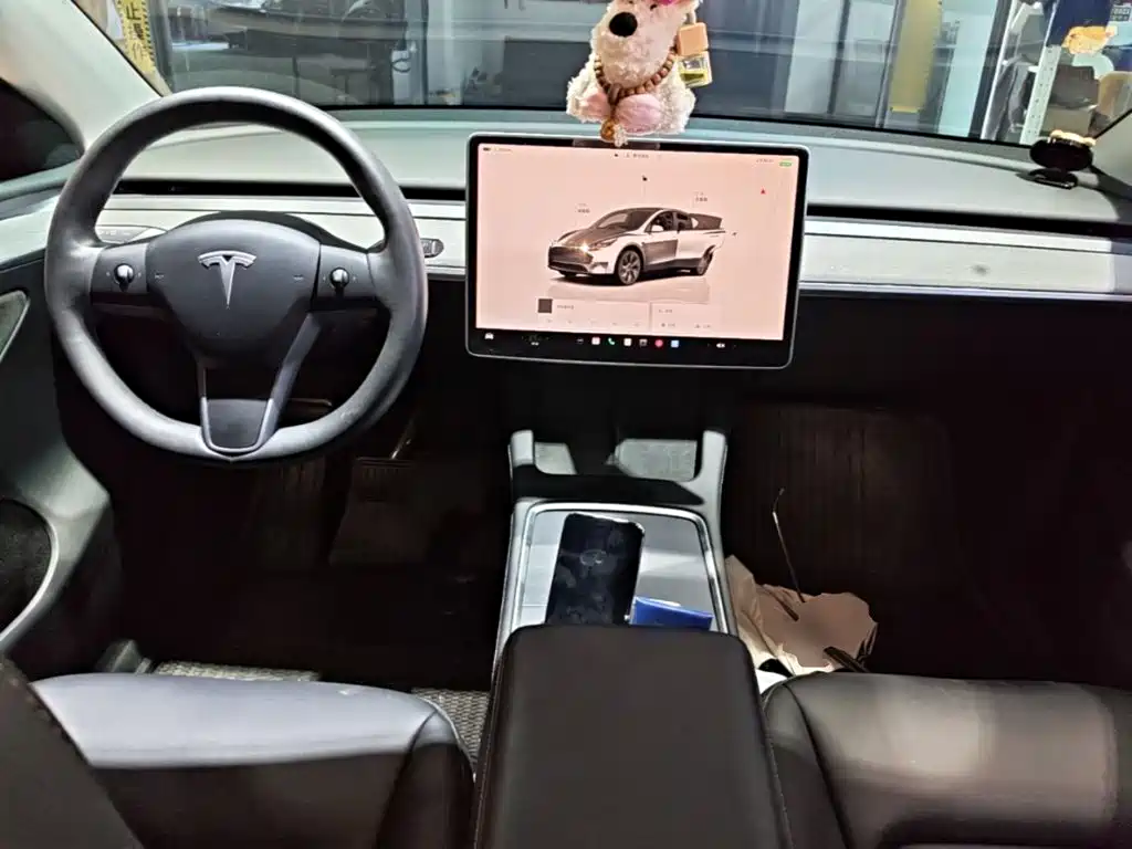 Tesla Model Y — миниатюра 10