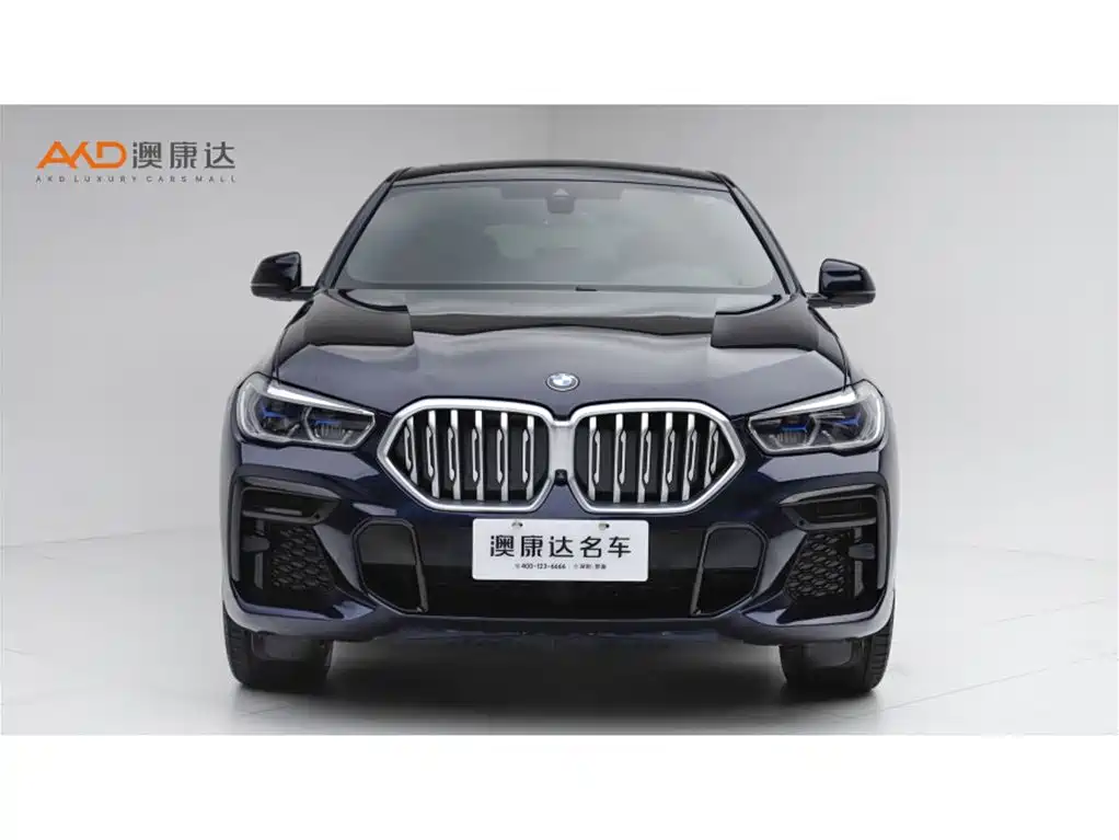 BMW X6 2022 xDrive40i M Sport