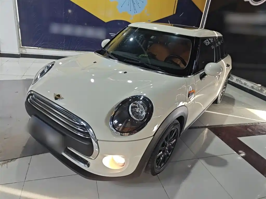 Mini Mini 2019