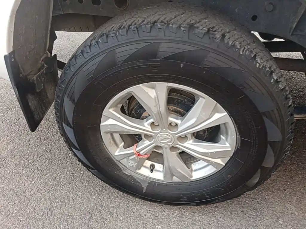 Dongfeng Rich 6 — миниатюра 18