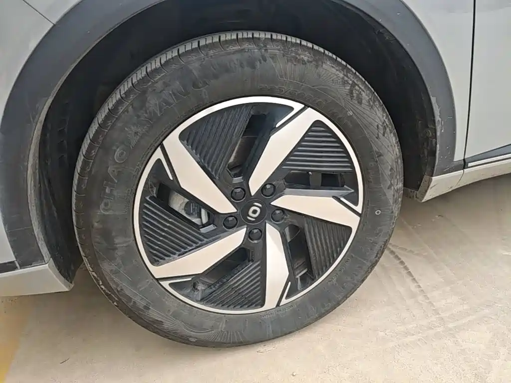 Qiyuan Чанг Ан Кай Q05 классика. — миниатюра 25