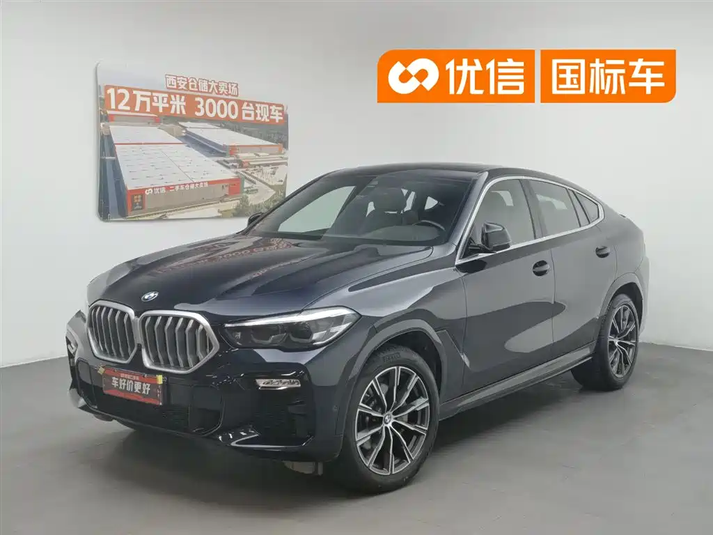 BMW X6 2021 xDrive30i M Sport