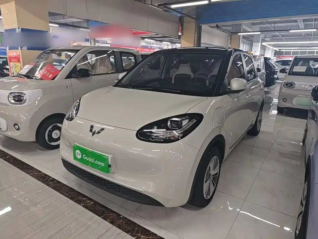 Wuling Binguo