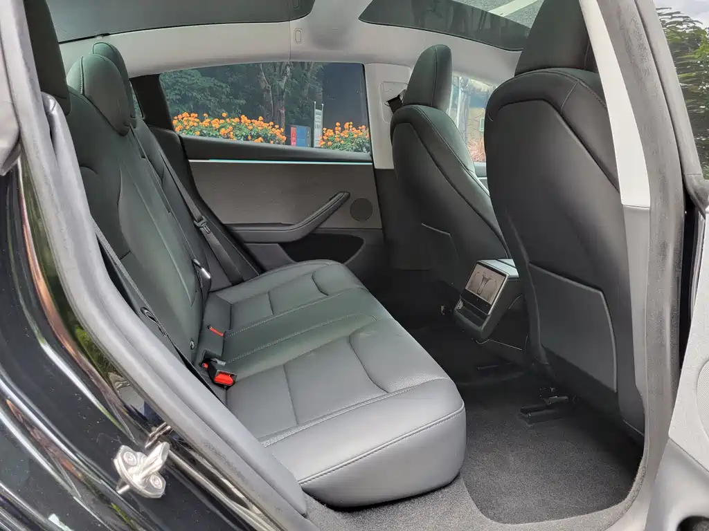 Tesla Model 3 — миниатюра 10