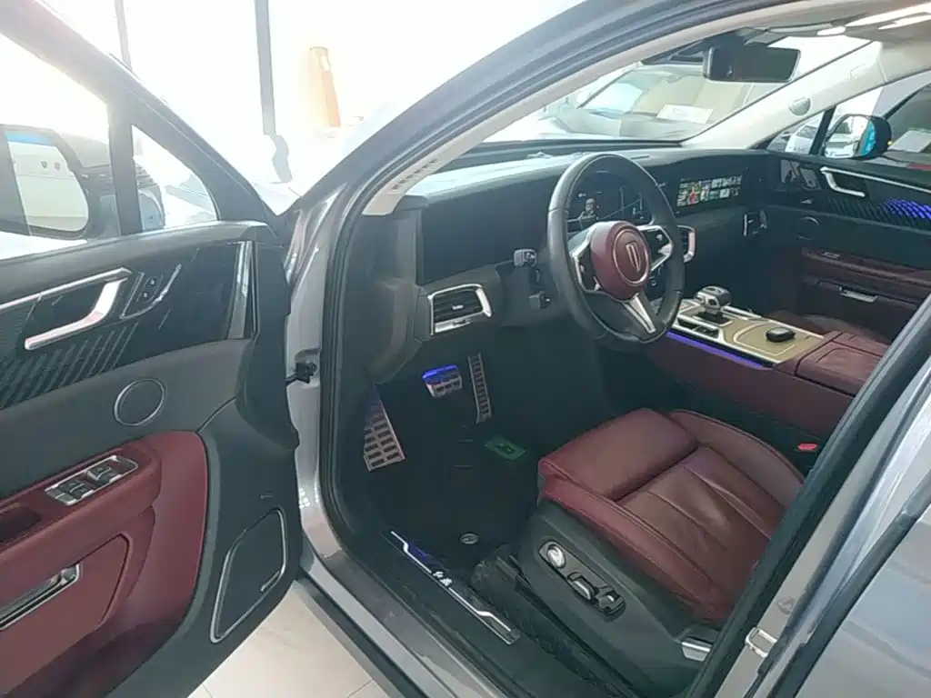 Hongqi Hongqi E-HS9 — миниатюра 16