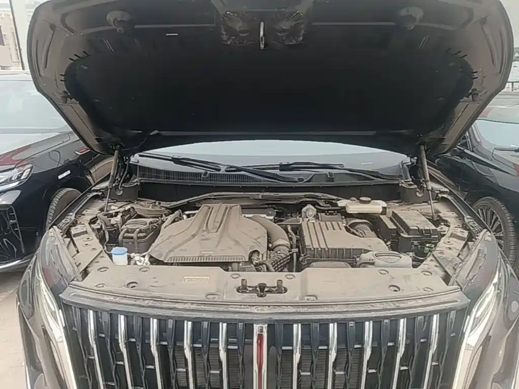 Hongqi Hongqi HS7 PHEV — миниатюра 20