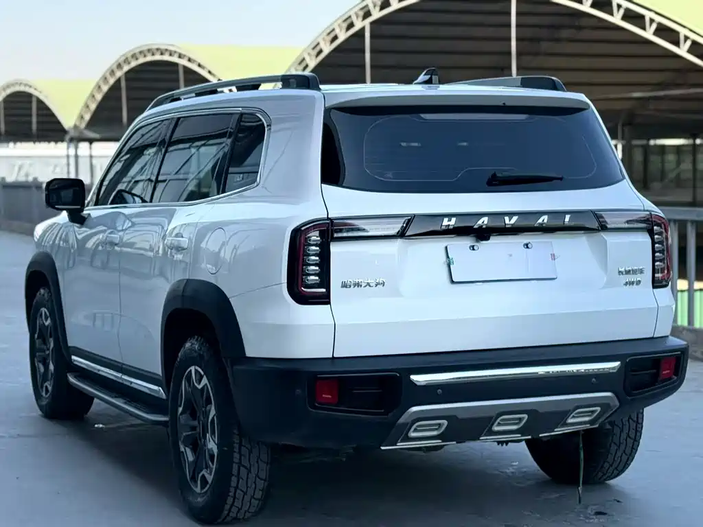 HAVAL BIG DOG
