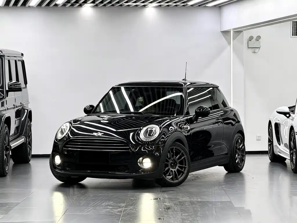 Mini Mini 2018