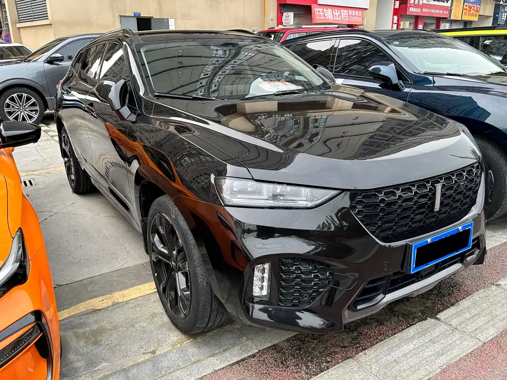 WEI PAI WEI BRAND VV7