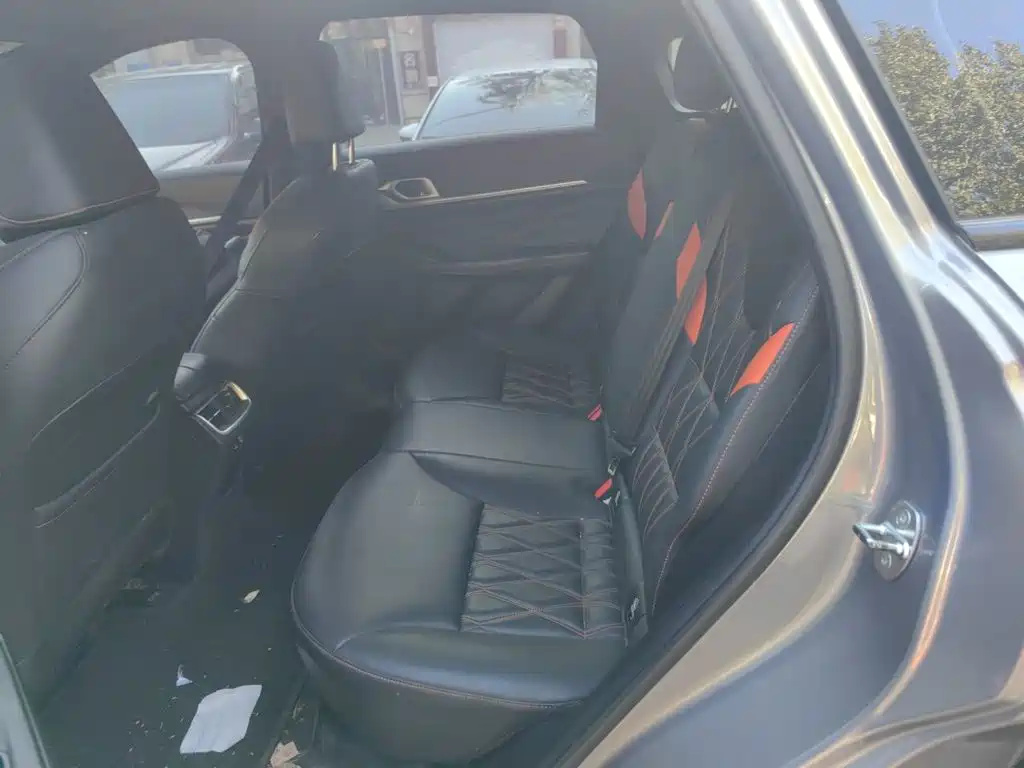 Haval Shenshou — миниатюра 18