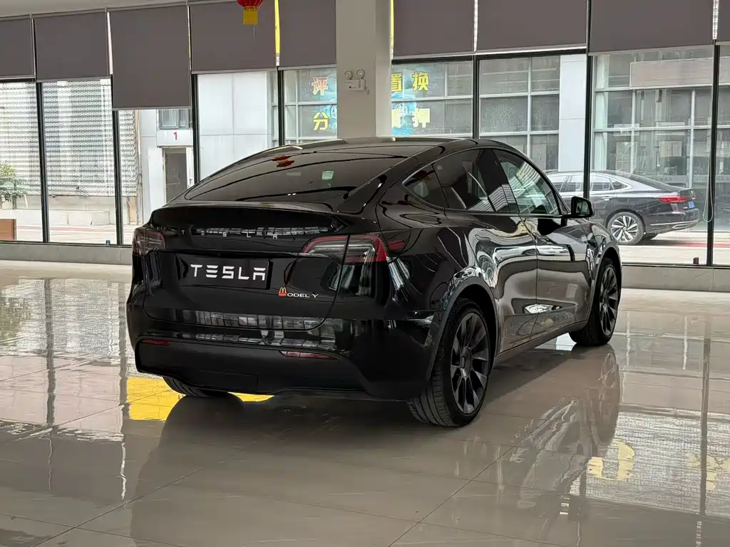 Tesla Model Y — миниатюра 7