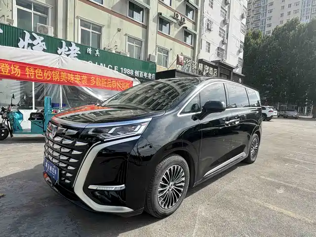 Denza D9