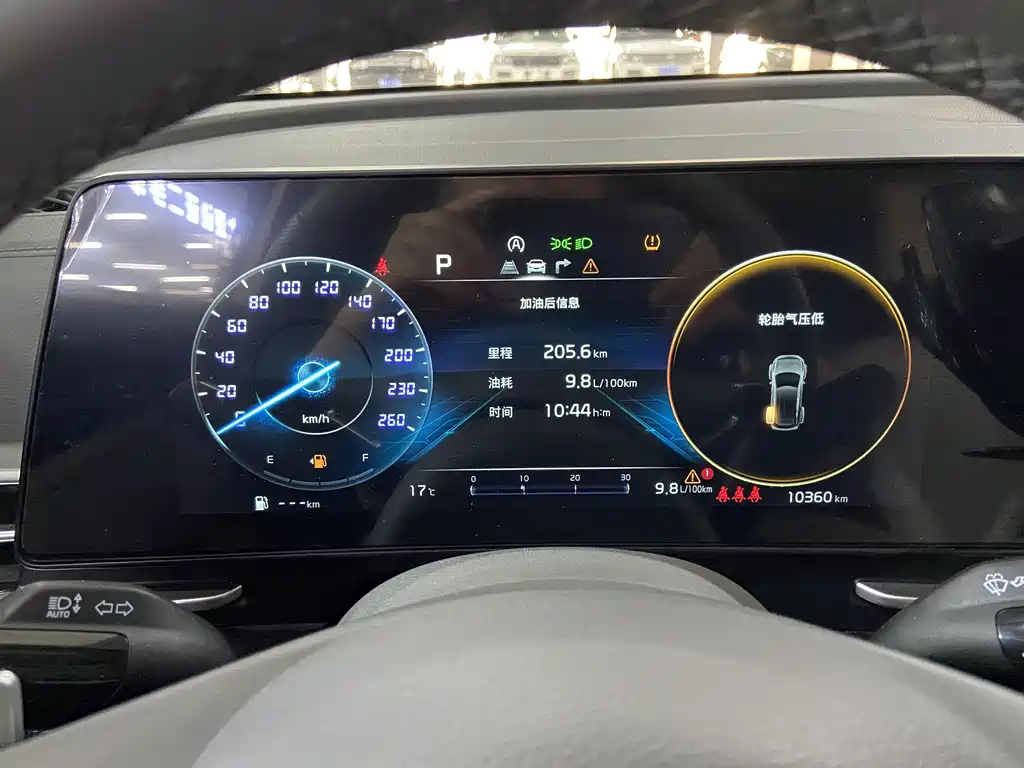 KIA LION PLATINUM EXPANDS THE WORLD