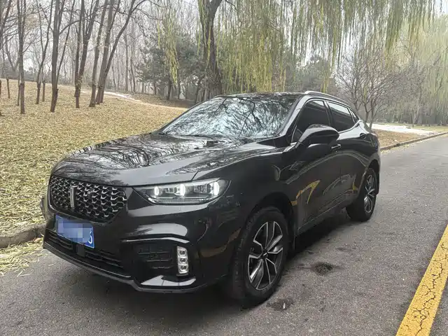 wei-pai wei-brand-vv5