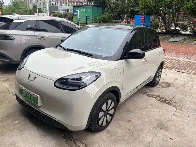 2025 Wuling Motors Binguo