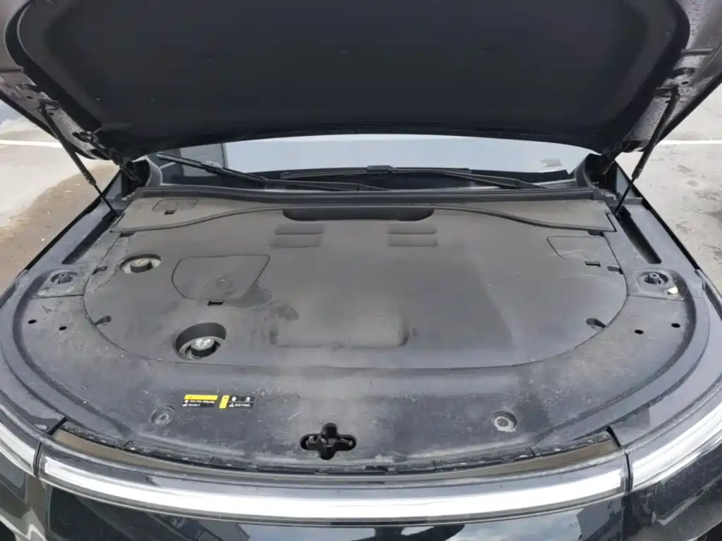 GAC Motor Trumpchi Xiangwang S9 — миниатюра 20
