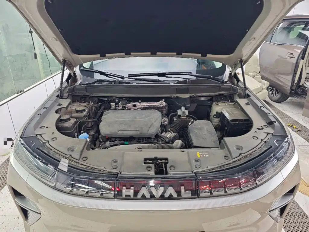Haval Xiaolong MAX — миниатюра 20