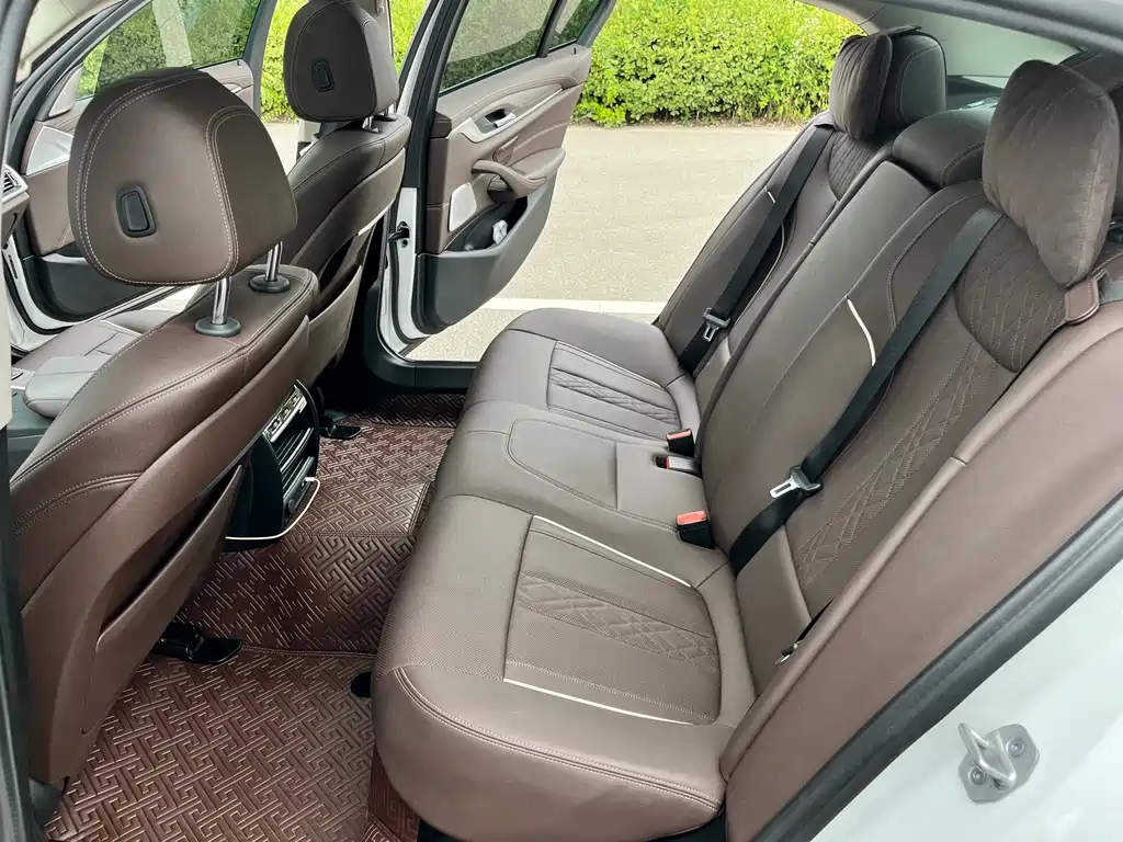 BMW 5 Series 5 2021 530Li Lead Luxury