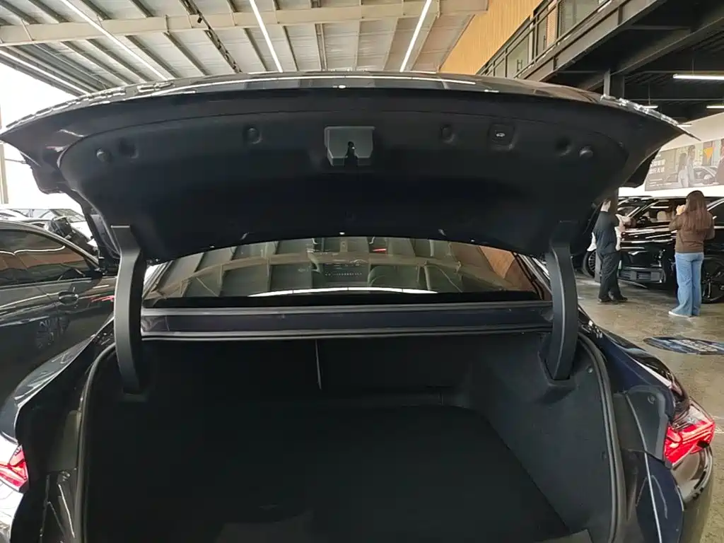 Buick Electra L7 — миниатюра 19