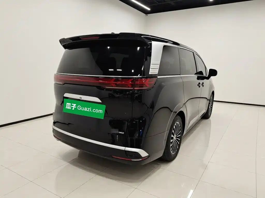 Denza Denza D9 — миниатюра 4