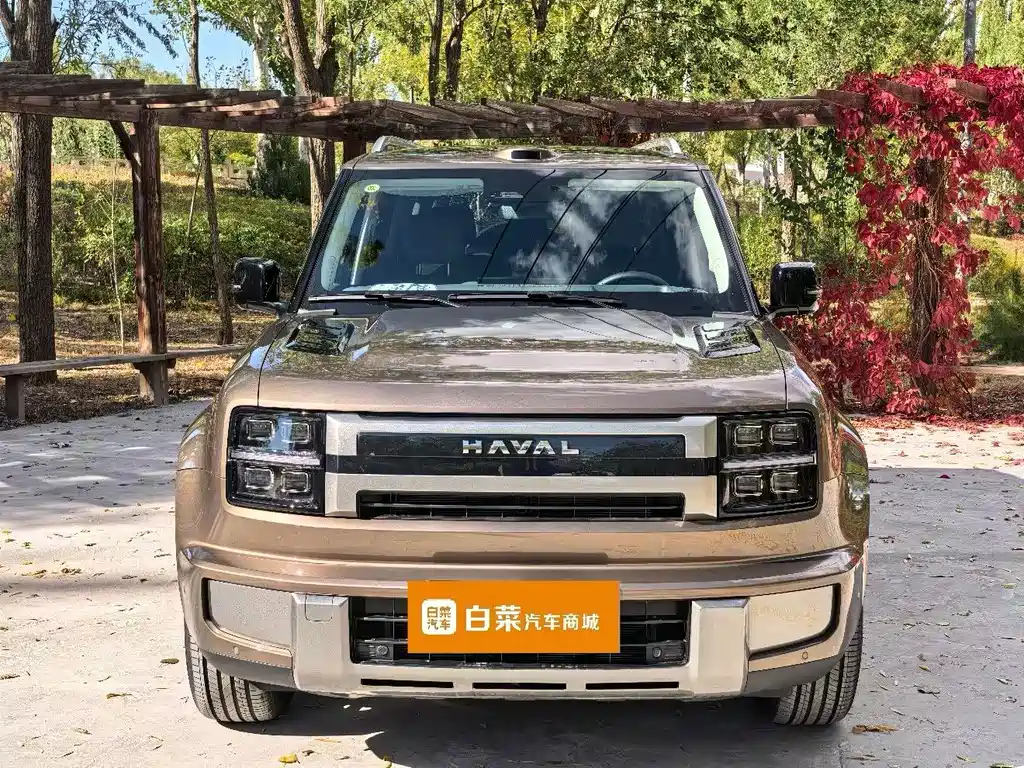 Haval H10 — миниатюра 3