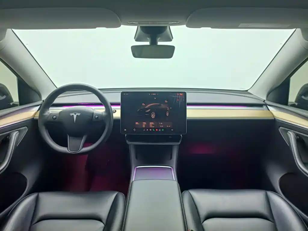 Tesla Model Y — миниатюра 4