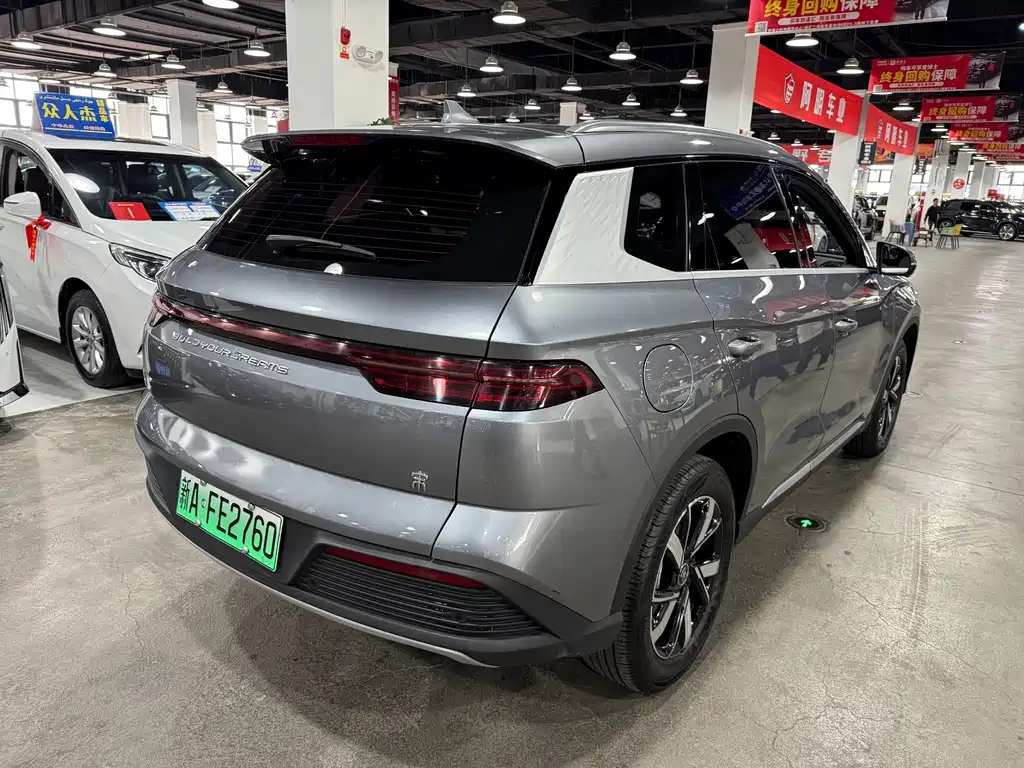 BYD Pro New Energy - фото 5