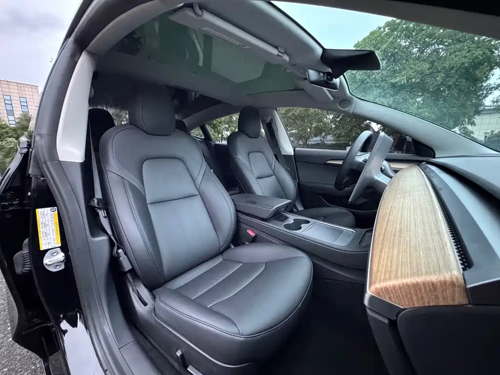 Tesla Model 3 — миниатюра 7