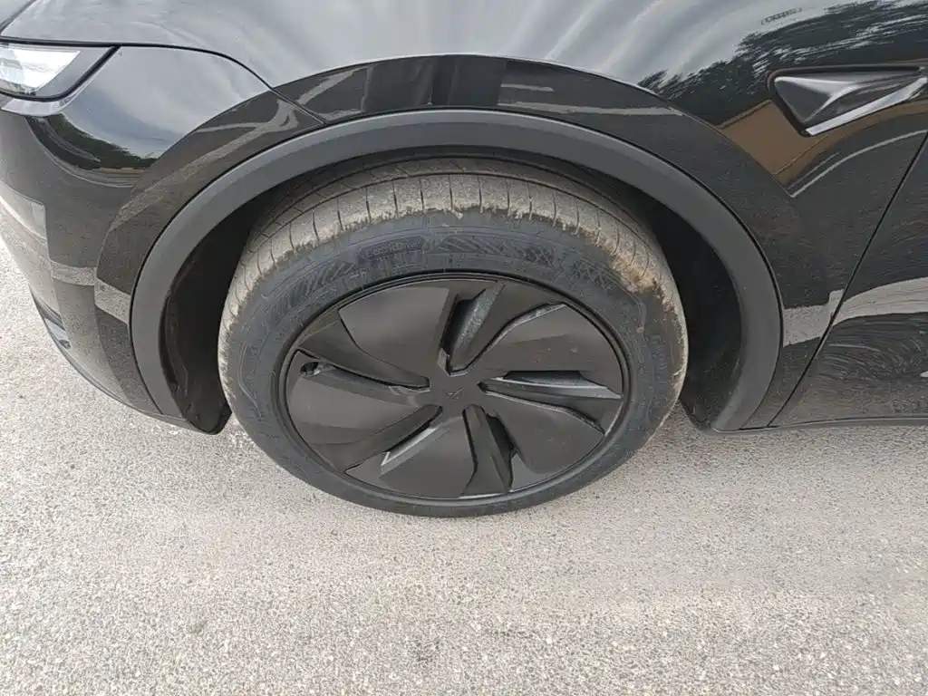 Tesla Model Y — миниатюра 23