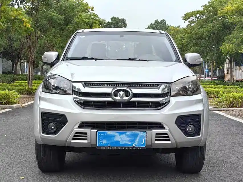 GREAT WALL FENGJUN 5