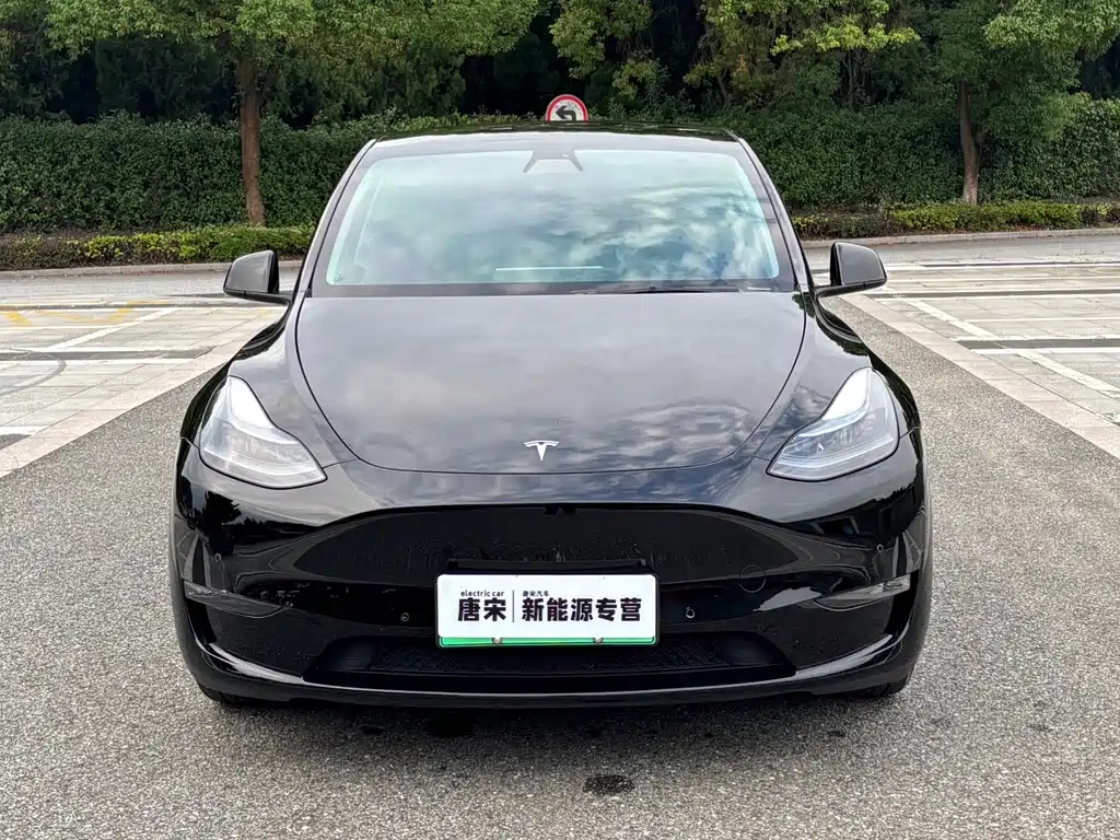 Tesla Model Y — миниатюра 2