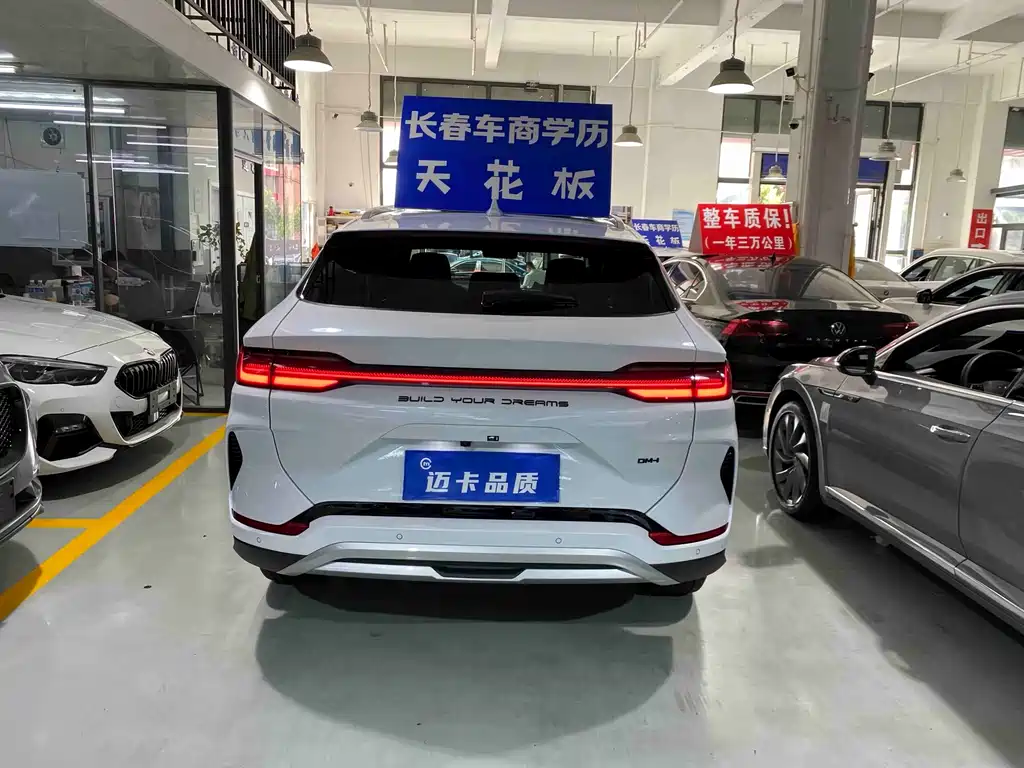 BYD PLUS New Energy — миниатюра 8