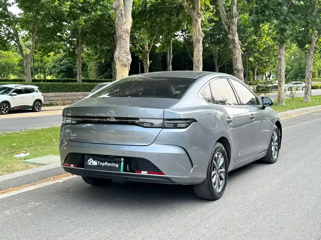 BYD Destroyer 05 2024 DM-i 55KM Luxury