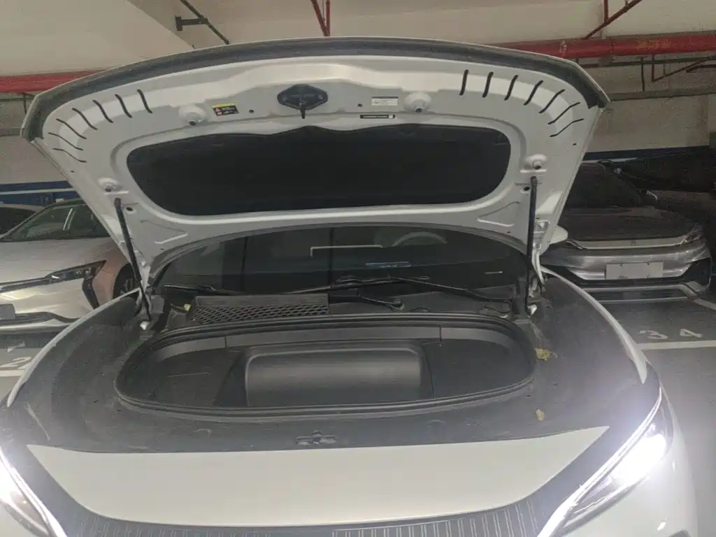 BYD L EV — миниатюра 20