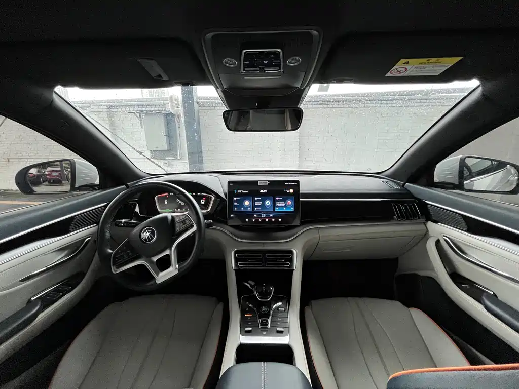 BYD PLUS New Energy — миниатюра 11