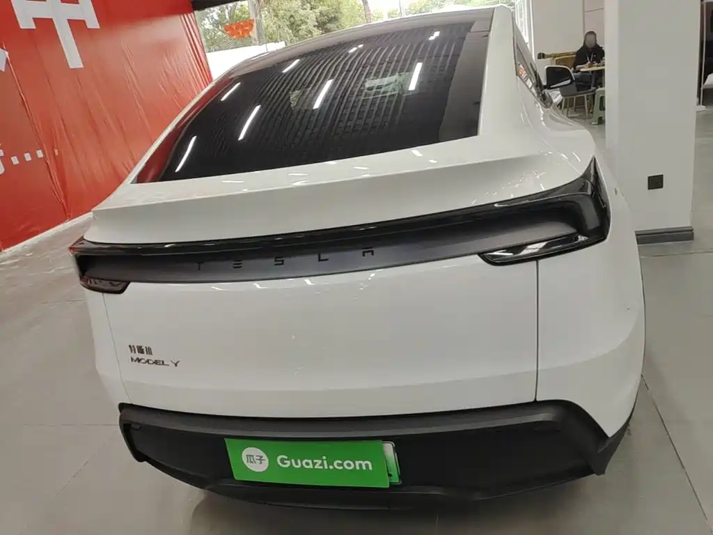 Tesla Model Y — миниатюра 6