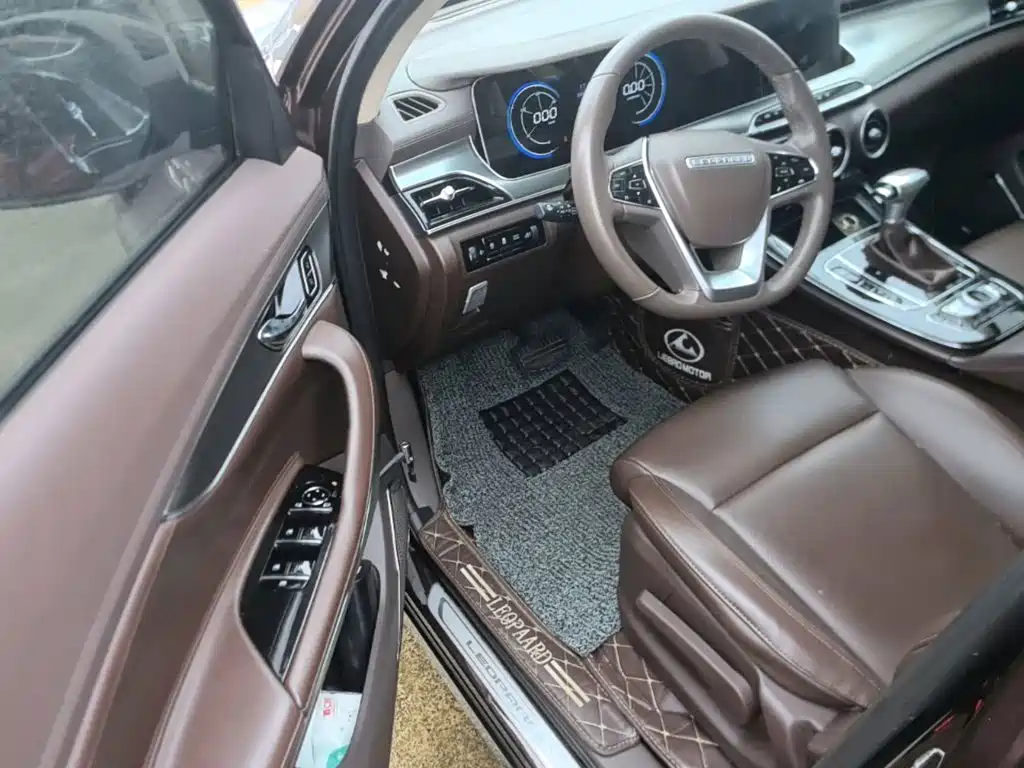Leopaard Mattu — миниатюра 16