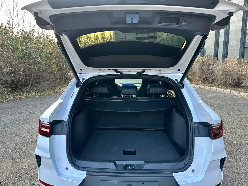 BYD SONGJIANG NEW ENERGY