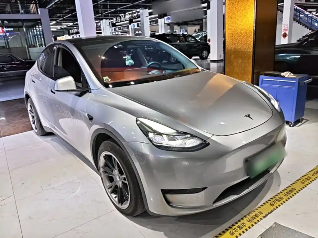 Tesla Model Y — миниатюра 4