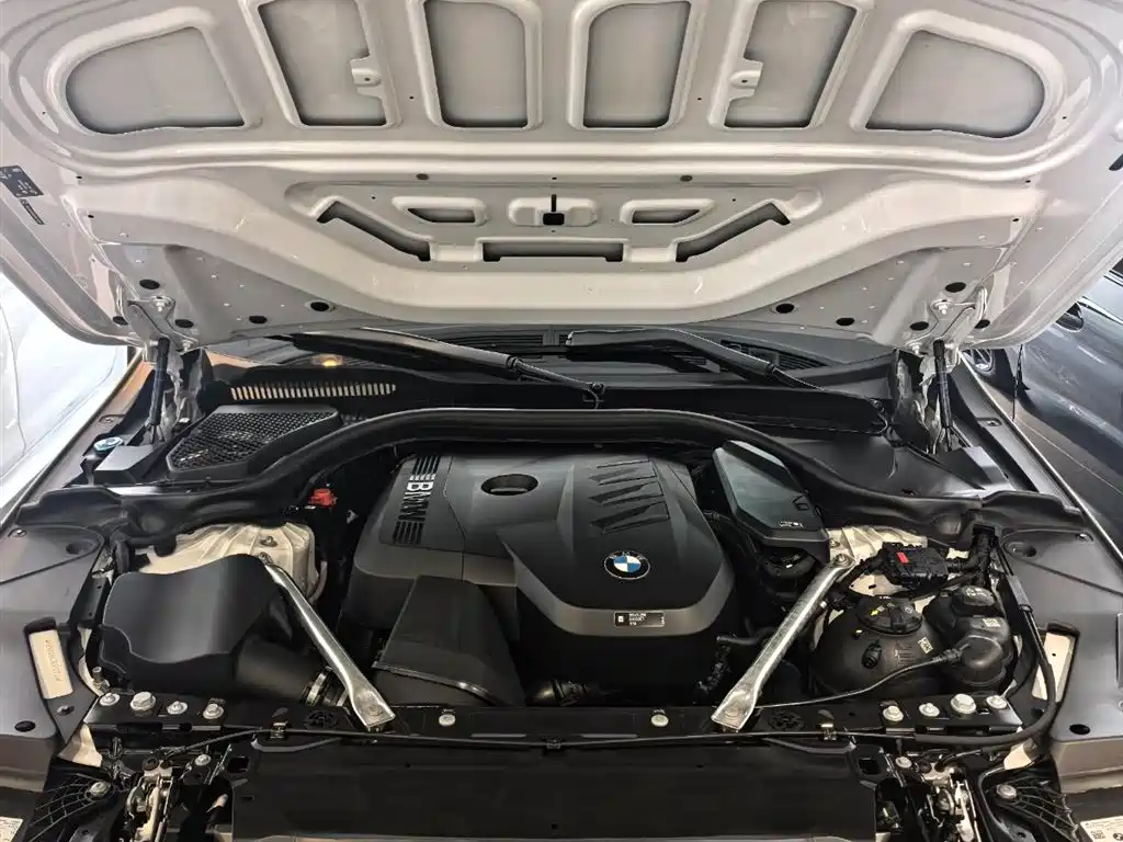 BMW 5 Series 5 2024 530Li Lead Luxury